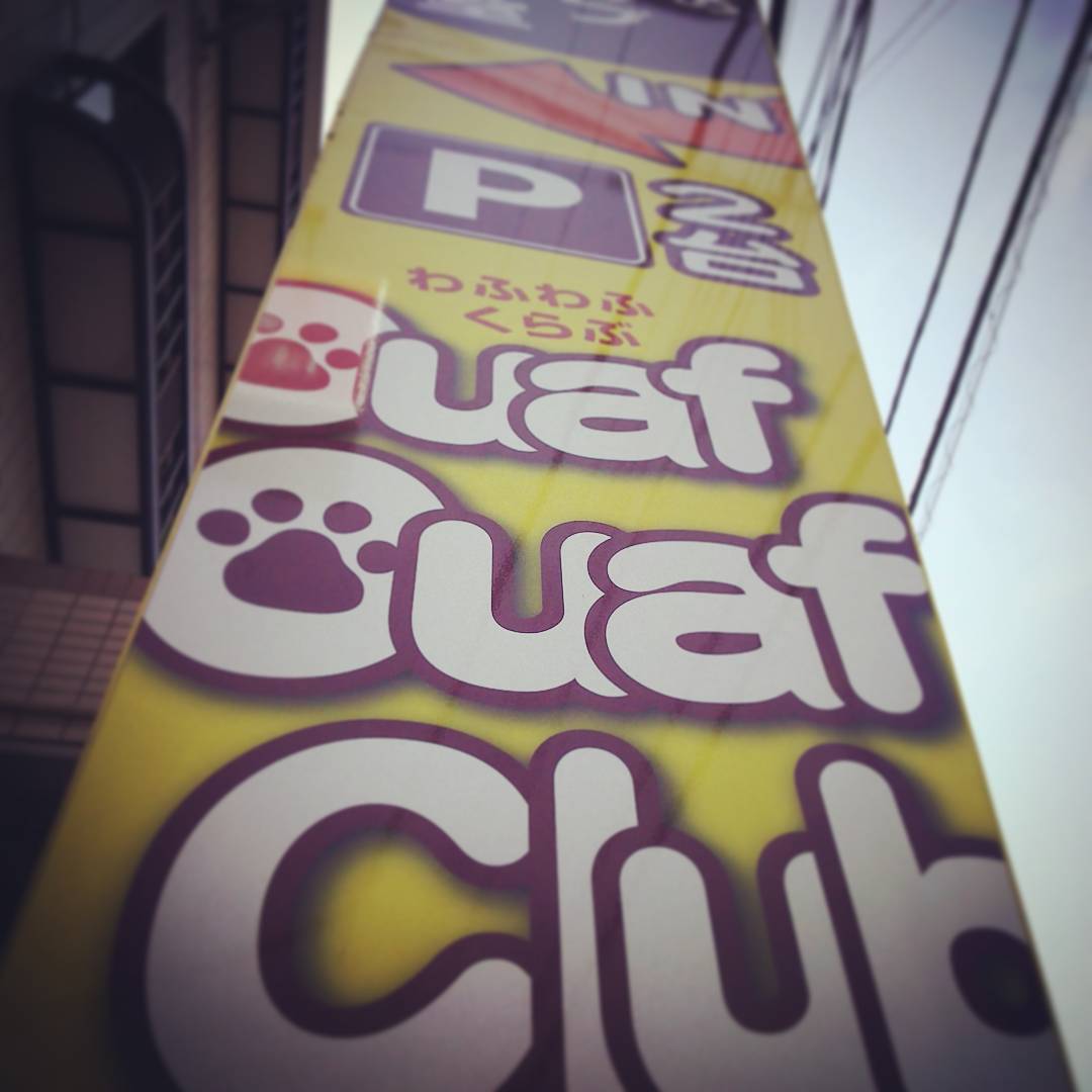 豆柴専門店なう。 #petshop