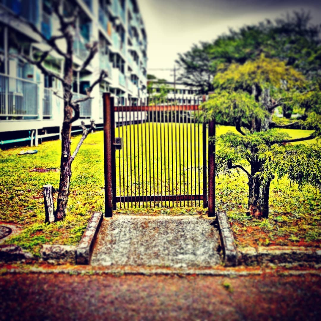 2020年コロナ自粛中の写真