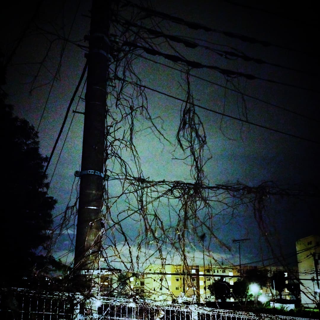 最近の夜景写真