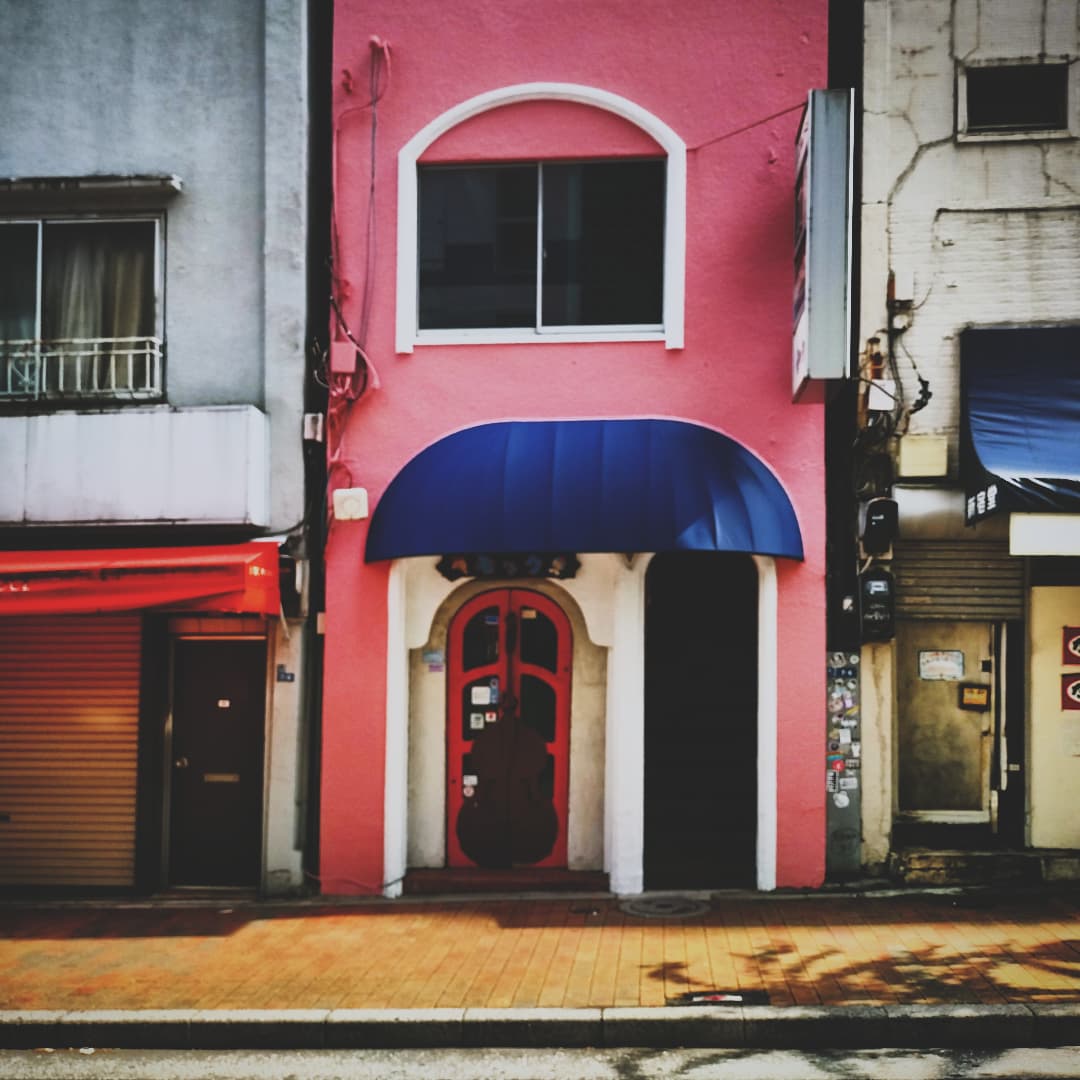 最近の散歩写真。