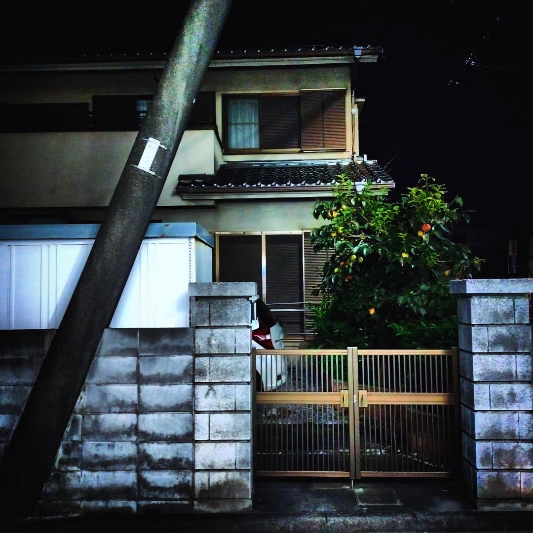 最近の未明写真