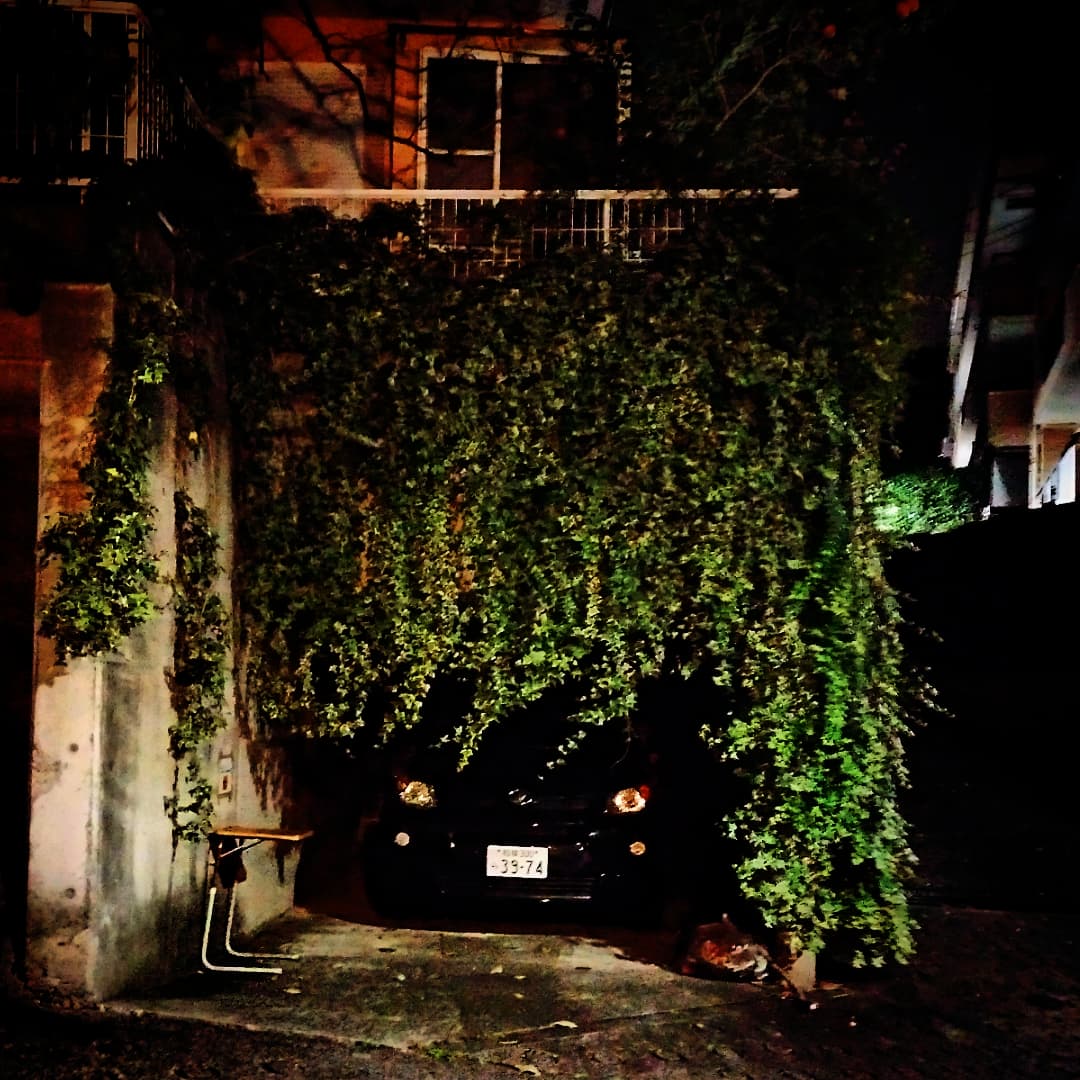 最近の深夜相模原写真