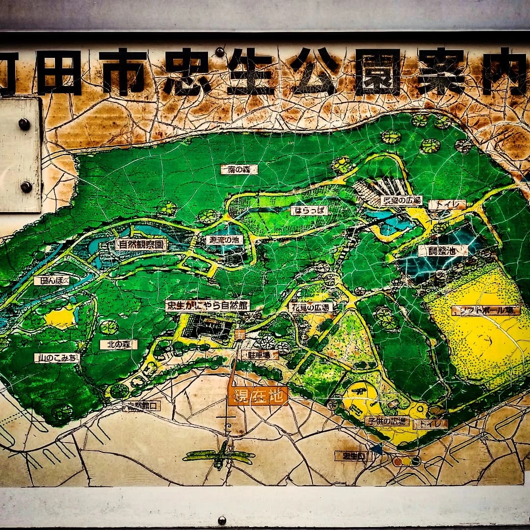町田市忠生公園訪問