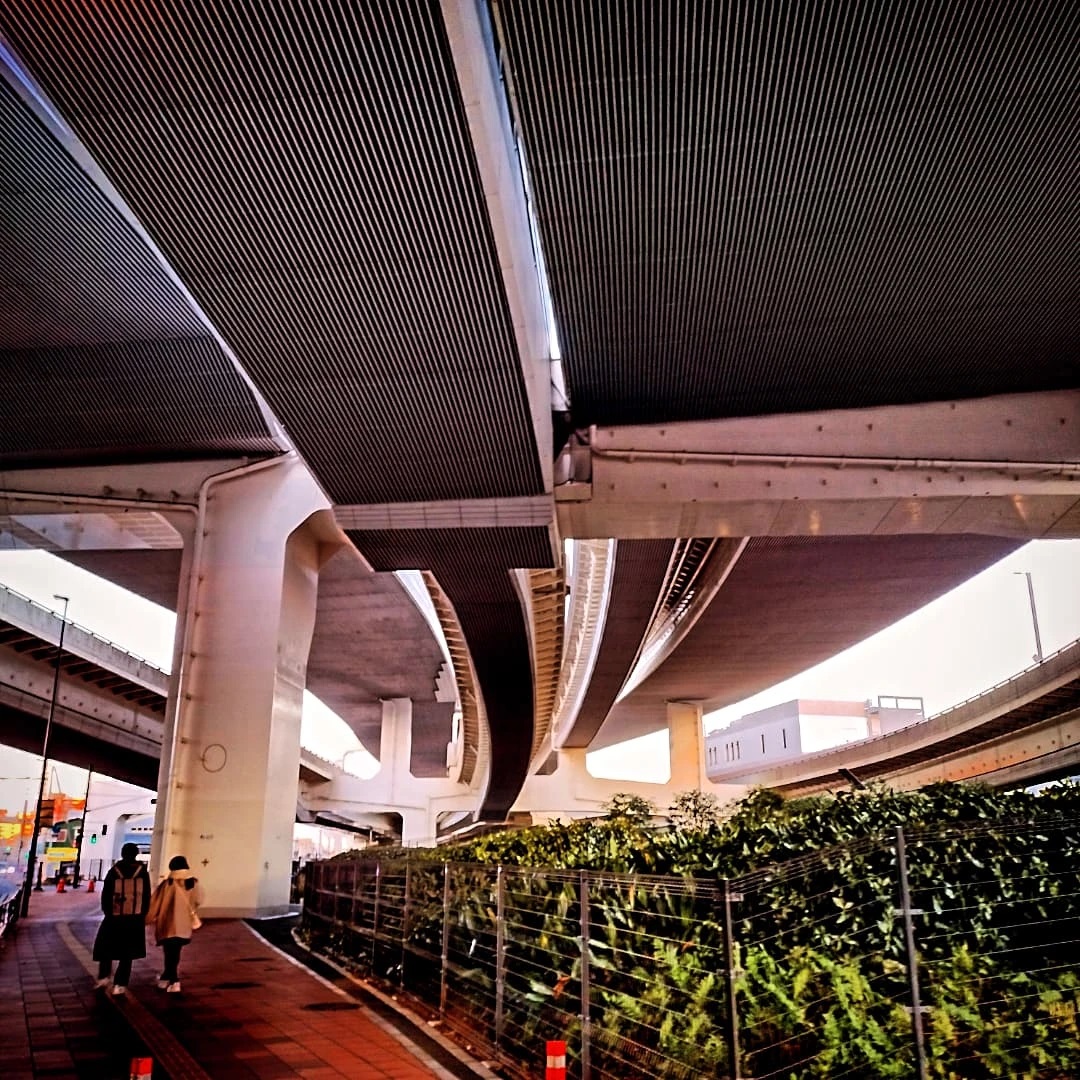 最近の生麦キリン緑地写真