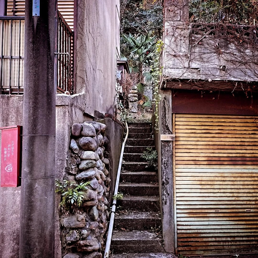 最近の散歩写真