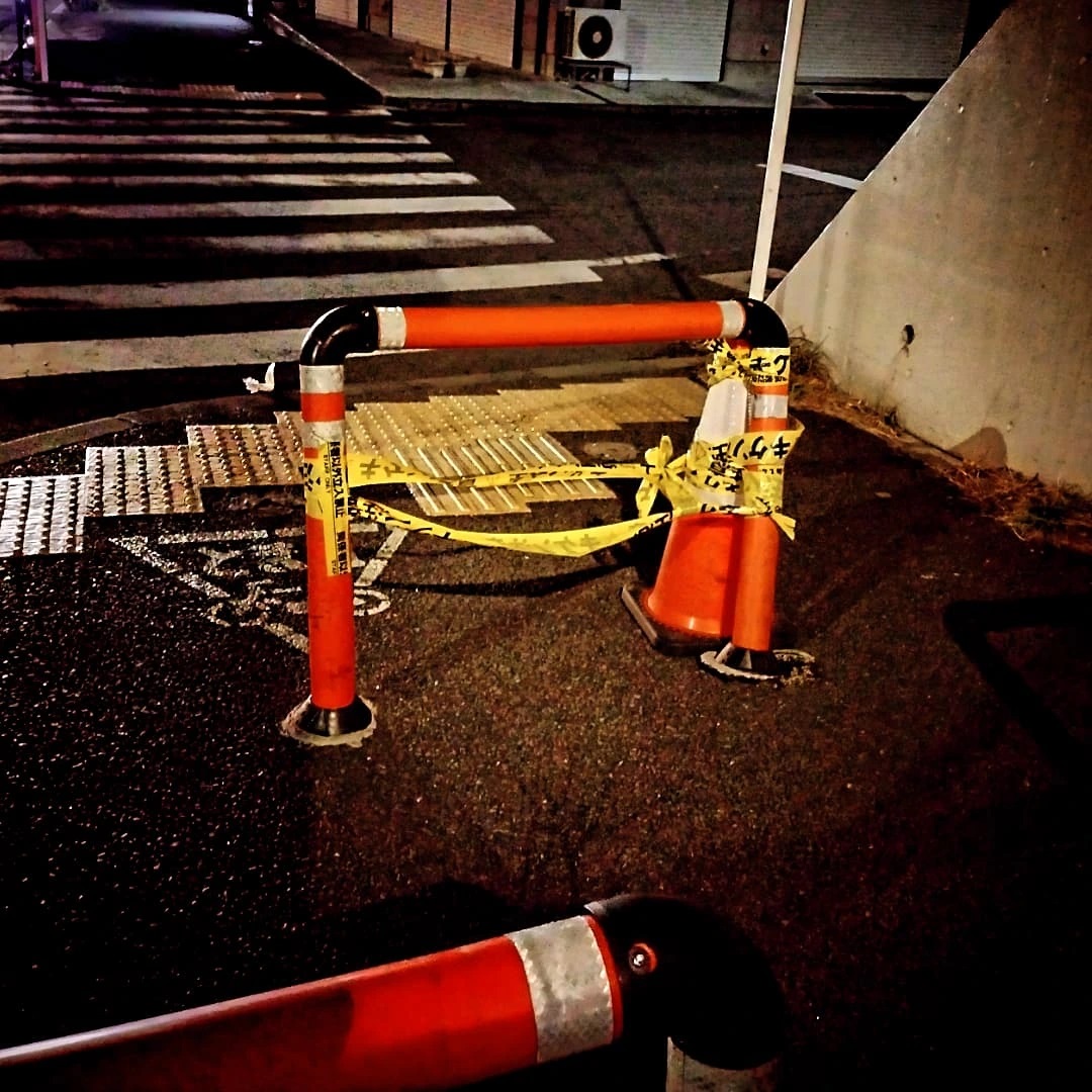 最近の散歩写真
