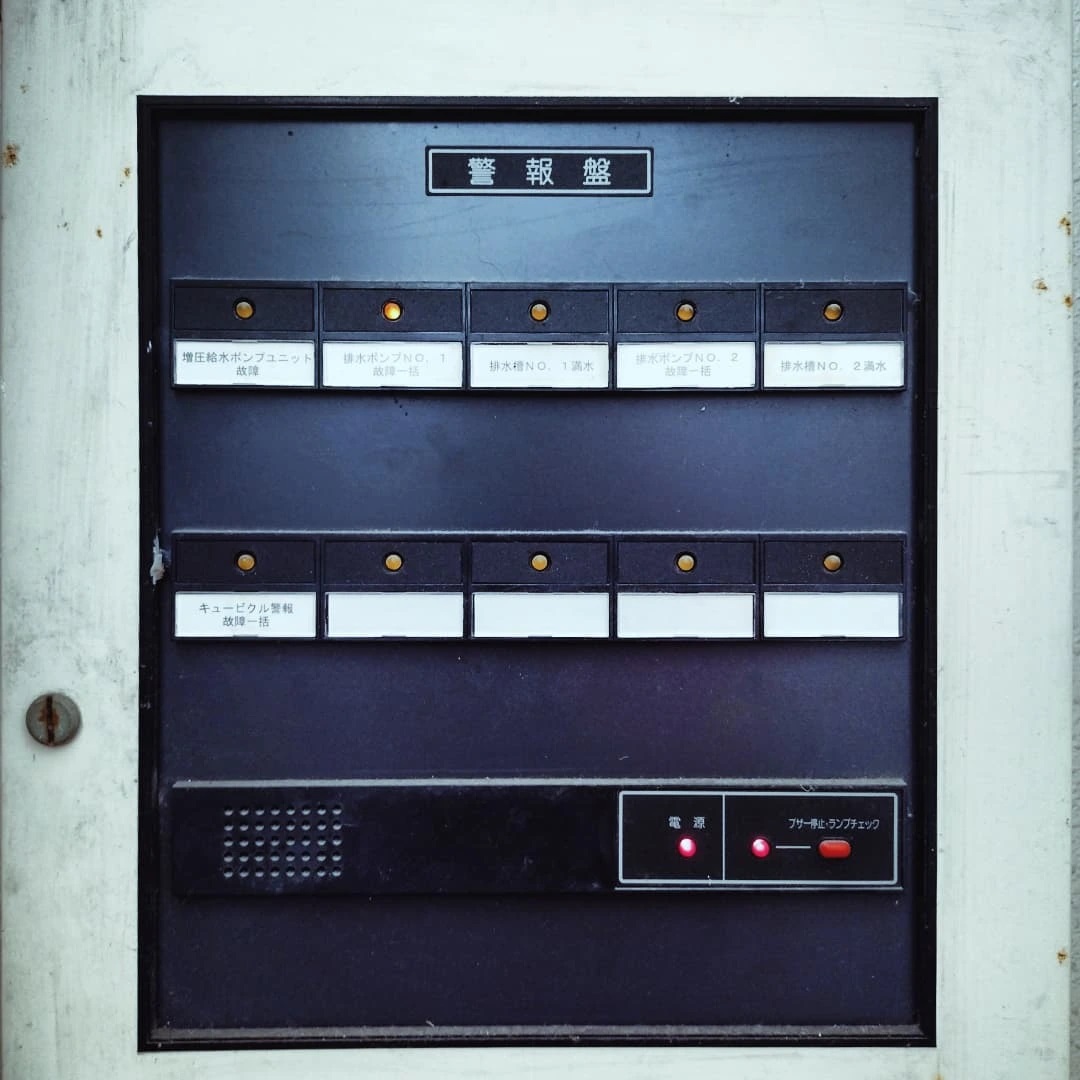 最近の散歩写真
