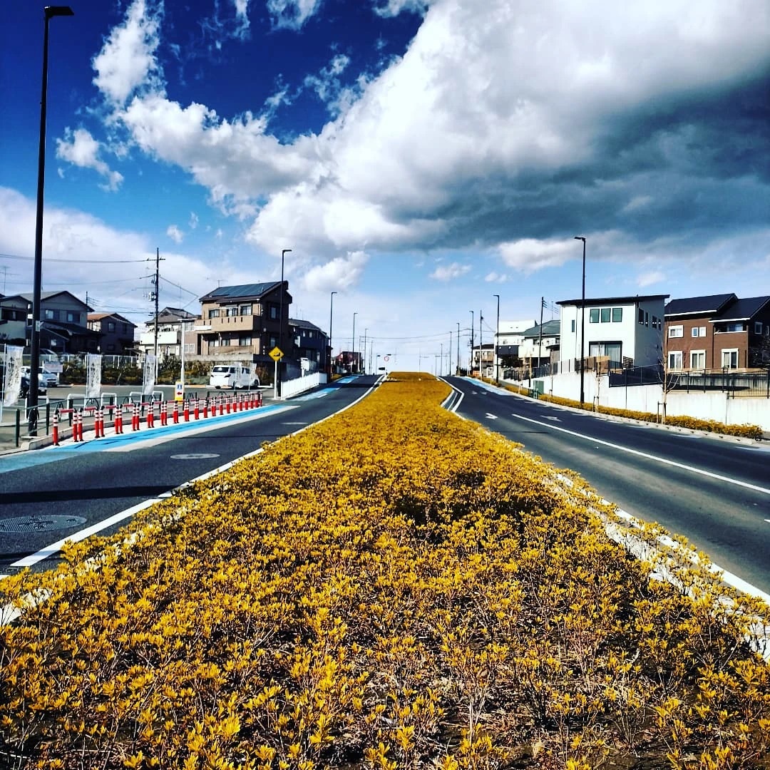 最近の旭町大橋あたり写真
