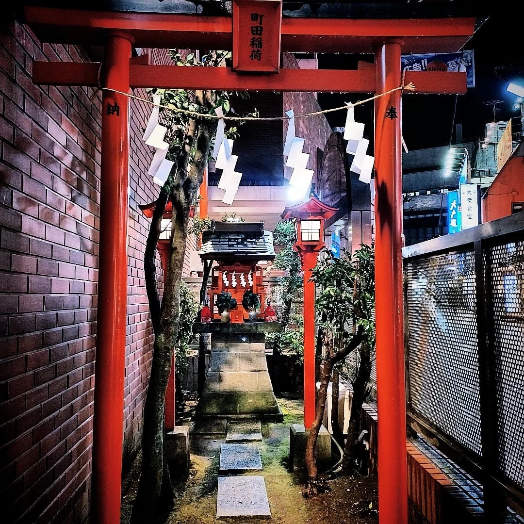 最近の散歩写真