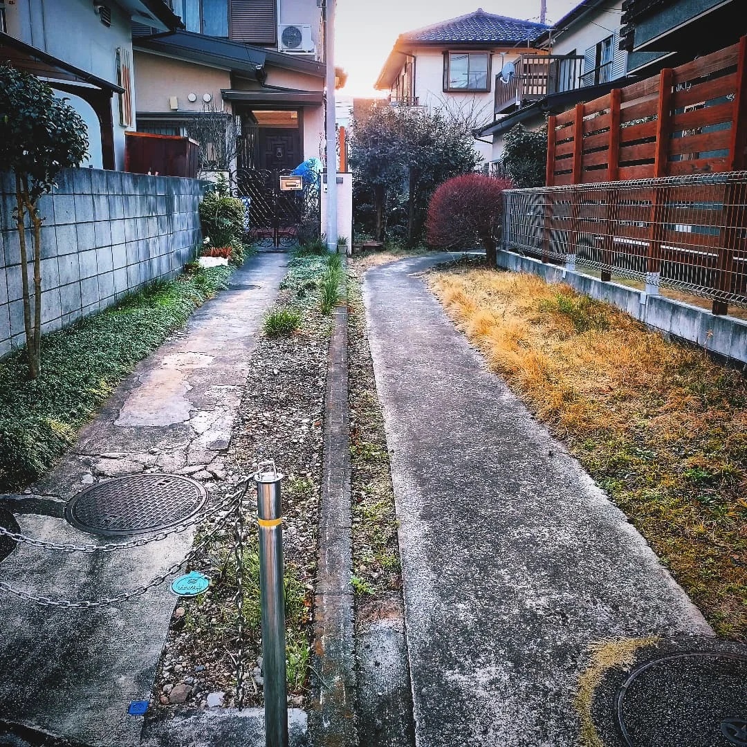 最近の散歩写真