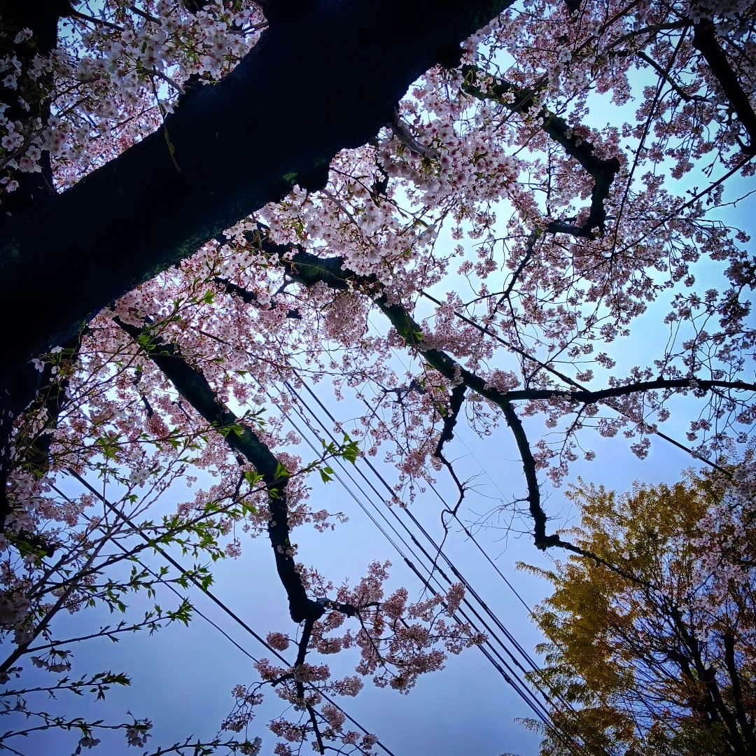 雨の日の町田写真